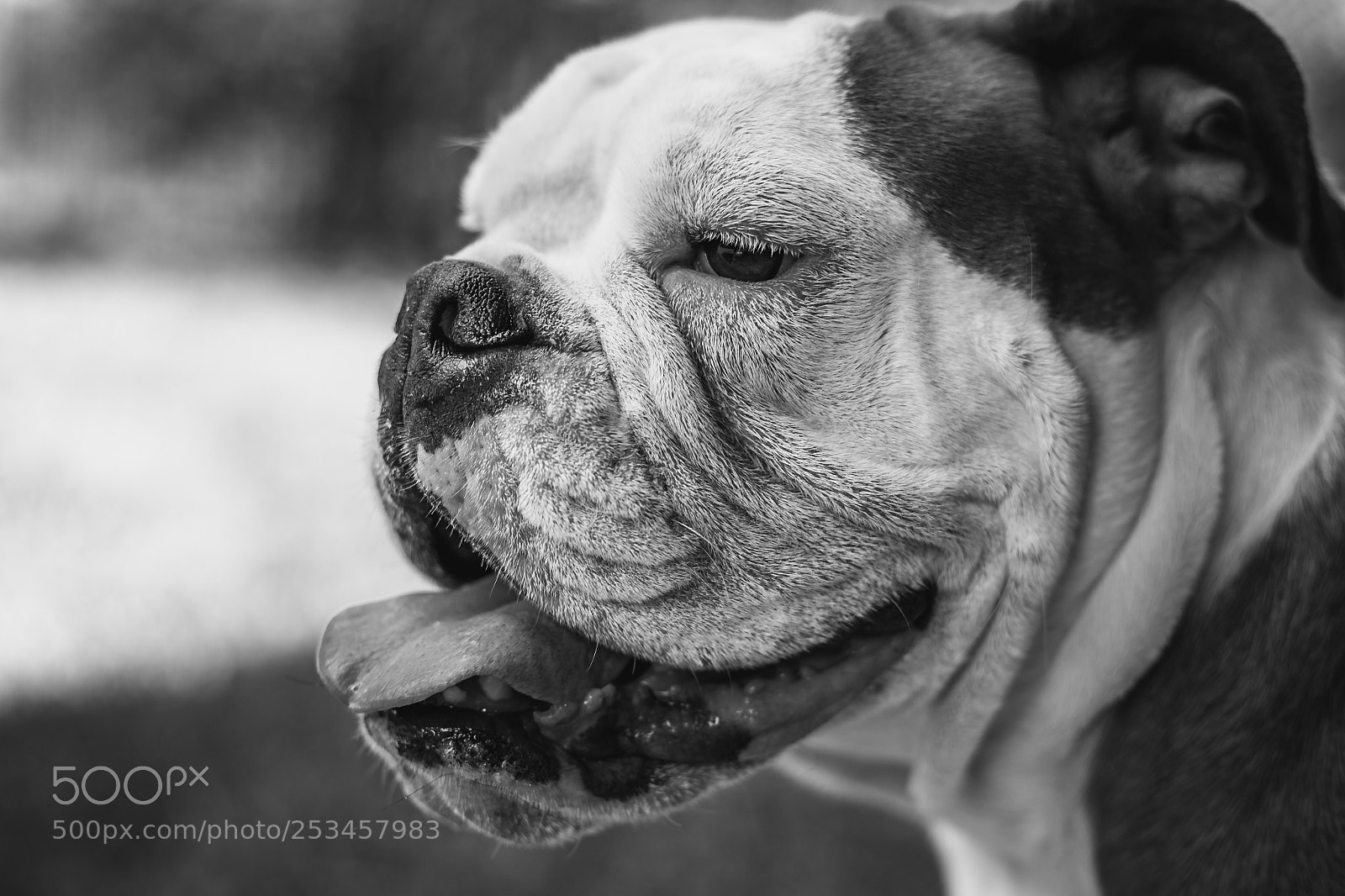 Canon EOS 5D sample photo. Portrait photography