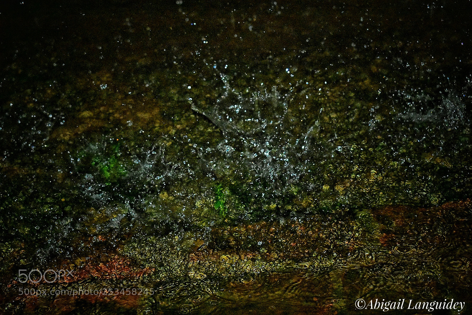 Nikon D3400 sample photo. Lluvia photography