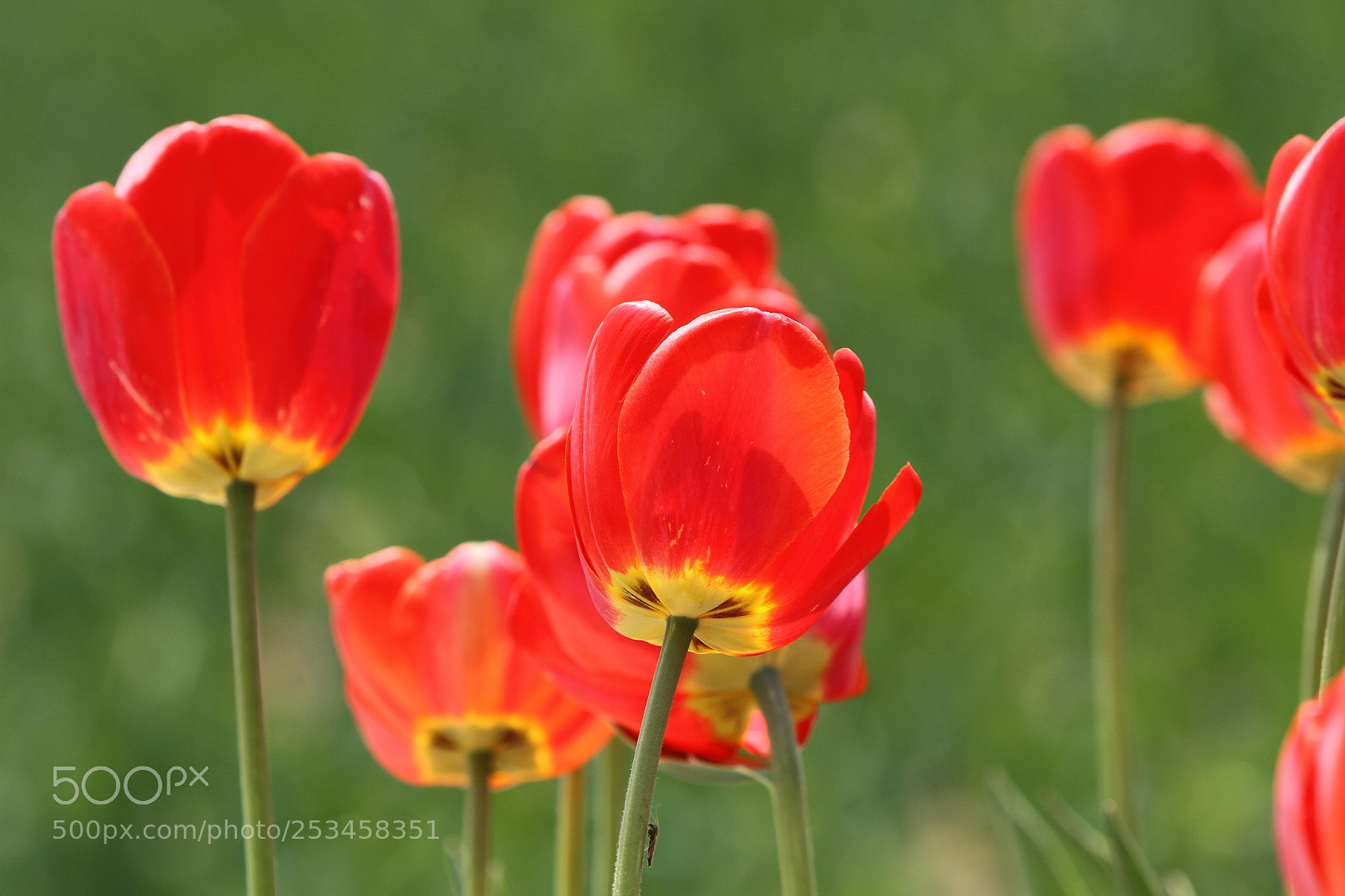 Canon EOS 7D sample photo. Untitled photography