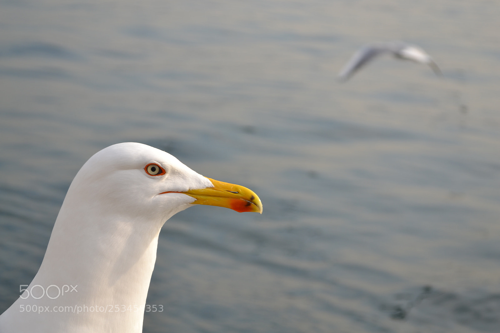 Nikon D3100 sample photo. Left behind photography