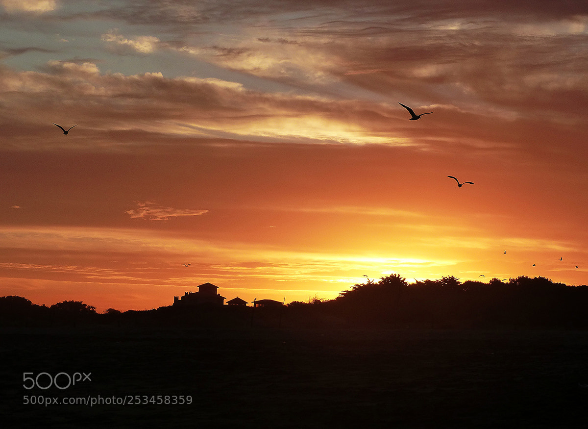 Panasonic Lumix DMC-FZ200 sample photo. Ocaso en gessell... photography
