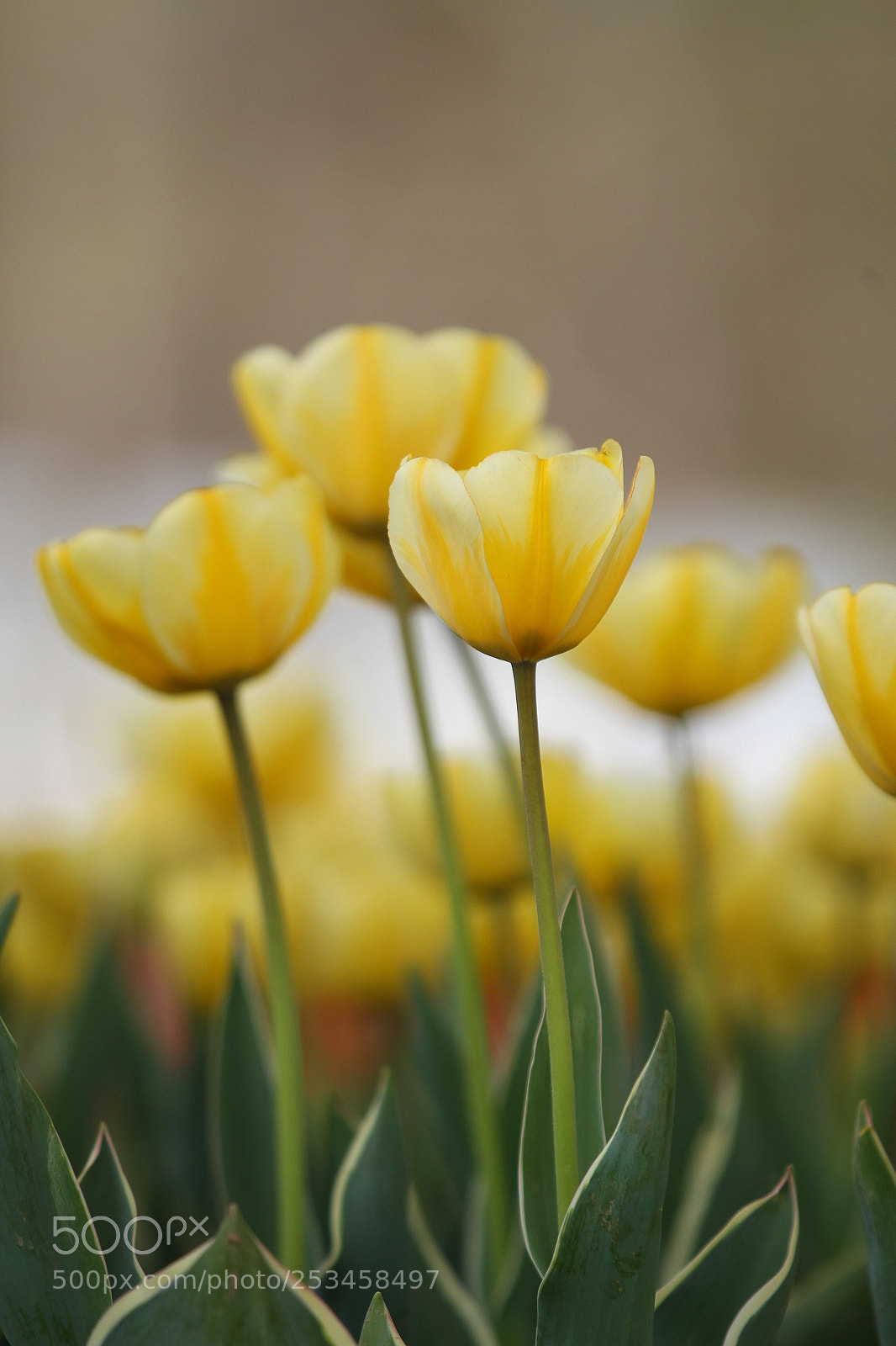 Canon EOS 7D sample photo. Untitled photography