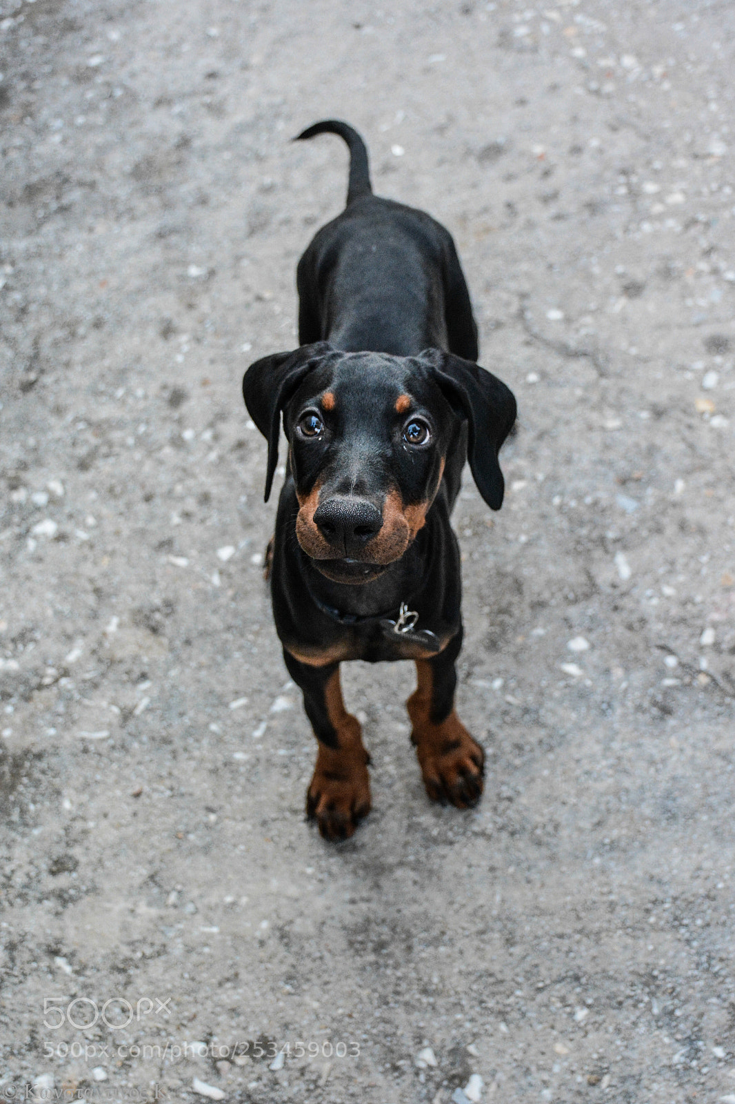 Nikon D7100 sample photo. Zeus photography