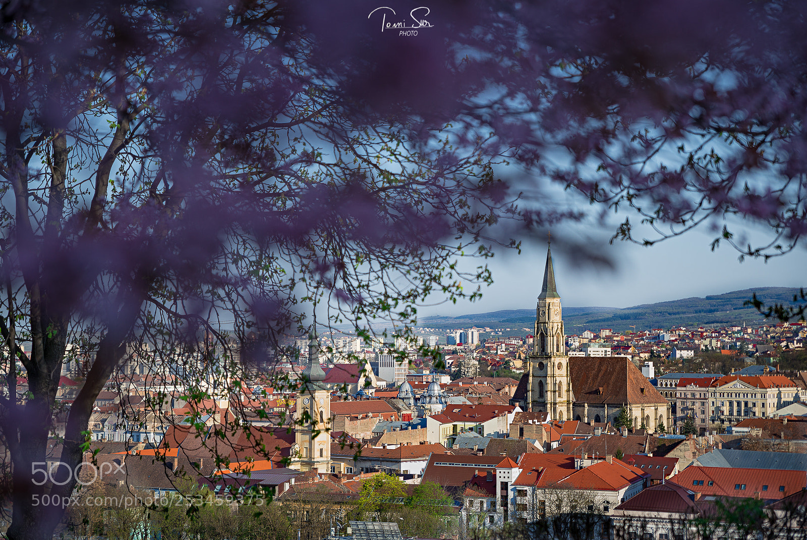 Nikon D610 sample photo. Springtime in cluj napoca photography