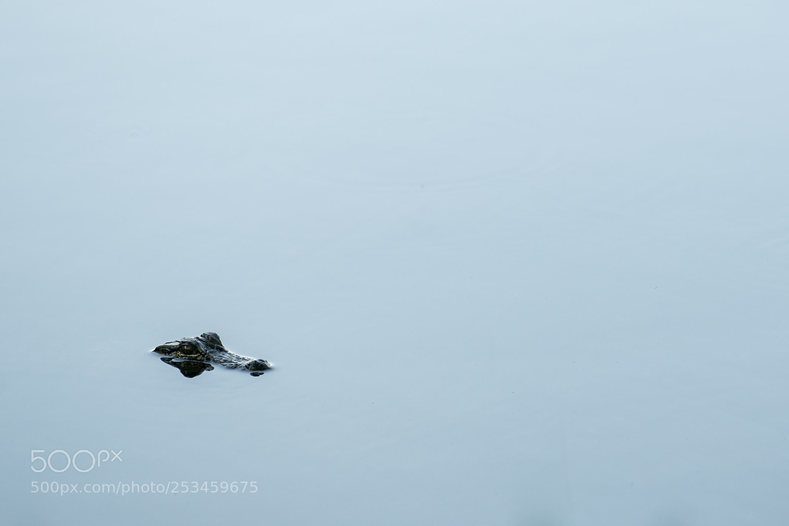 Sony a7R II sample photo. Still water photography