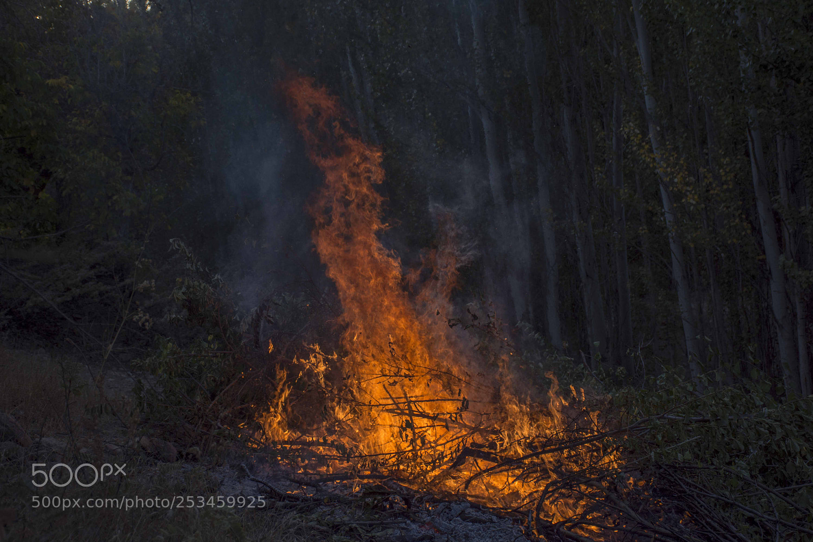 Nikon D7200 sample photo. Amazing fire photography