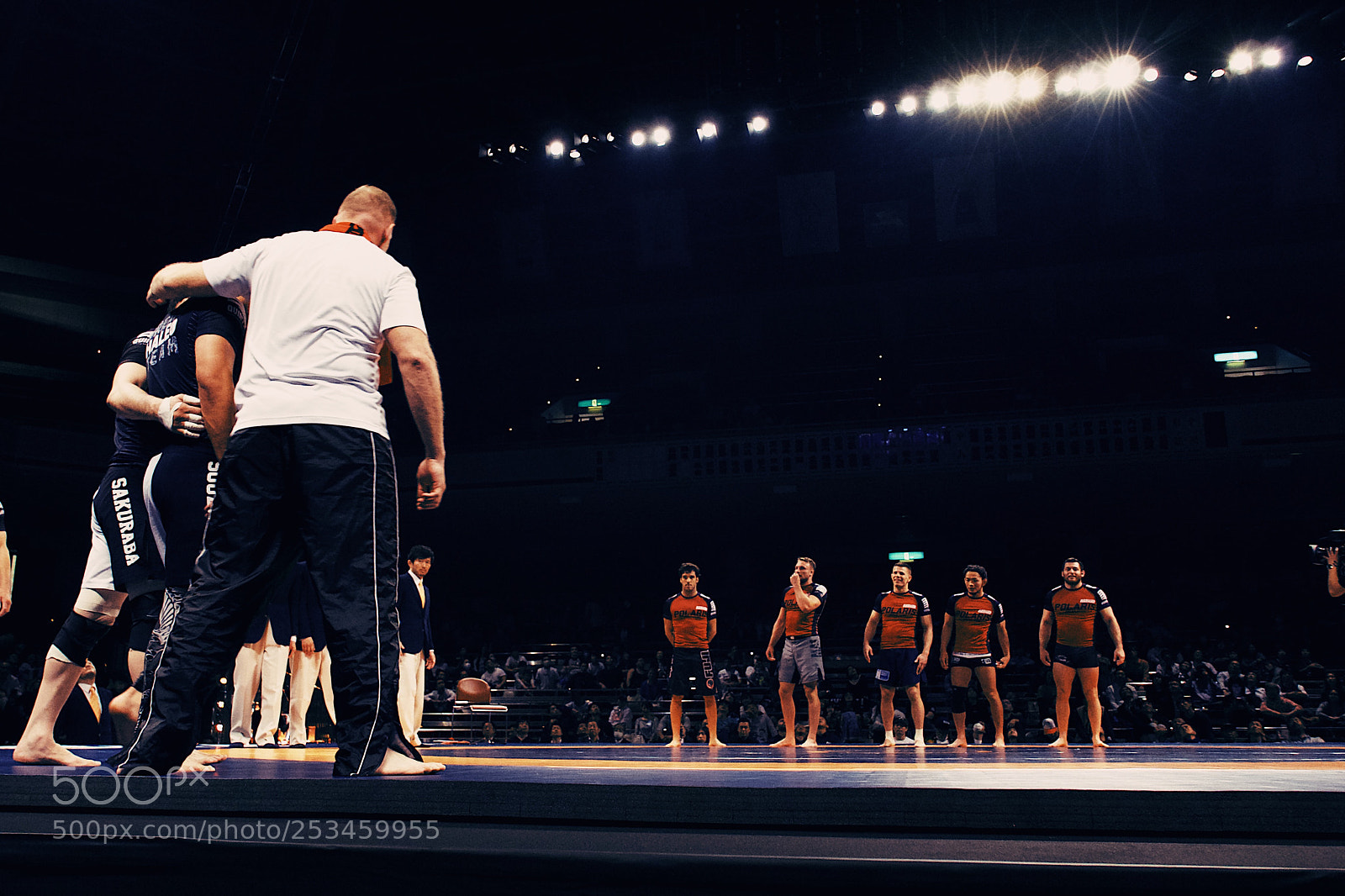 Panasonic Lumix DMC-LX100 sample photo. Photos from quintet 1 photography