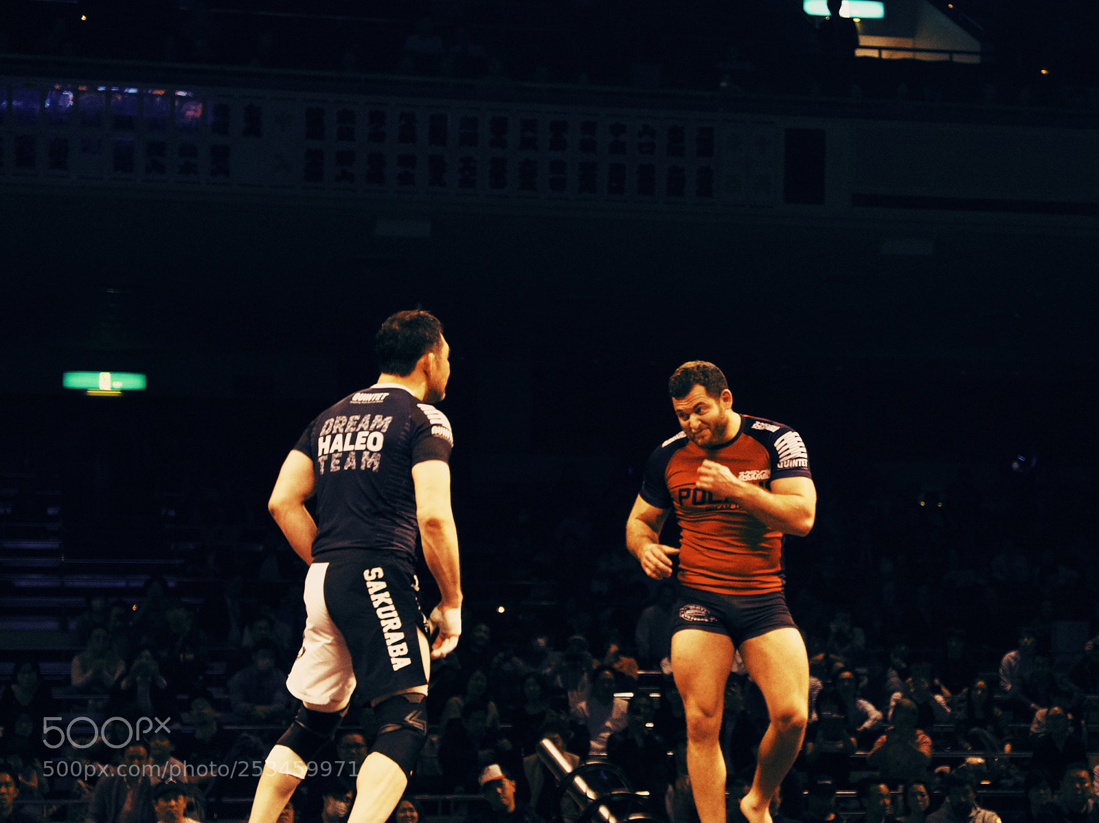 Panasonic Lumix DMC-LX100 sample photo. Photos from quintet 1 photography