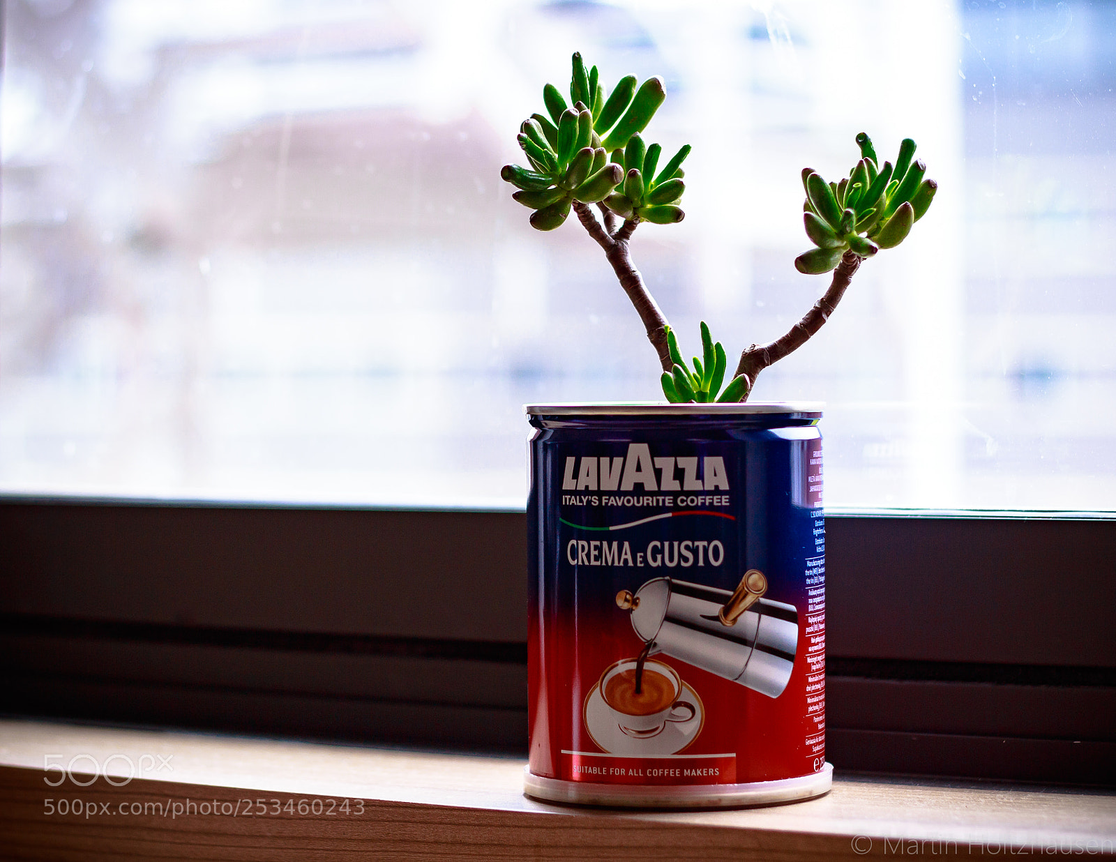 Canon EOS 650D (EOS Rebel T4i / EOS Kiss X6i) sample photo. Coffee can plant photography