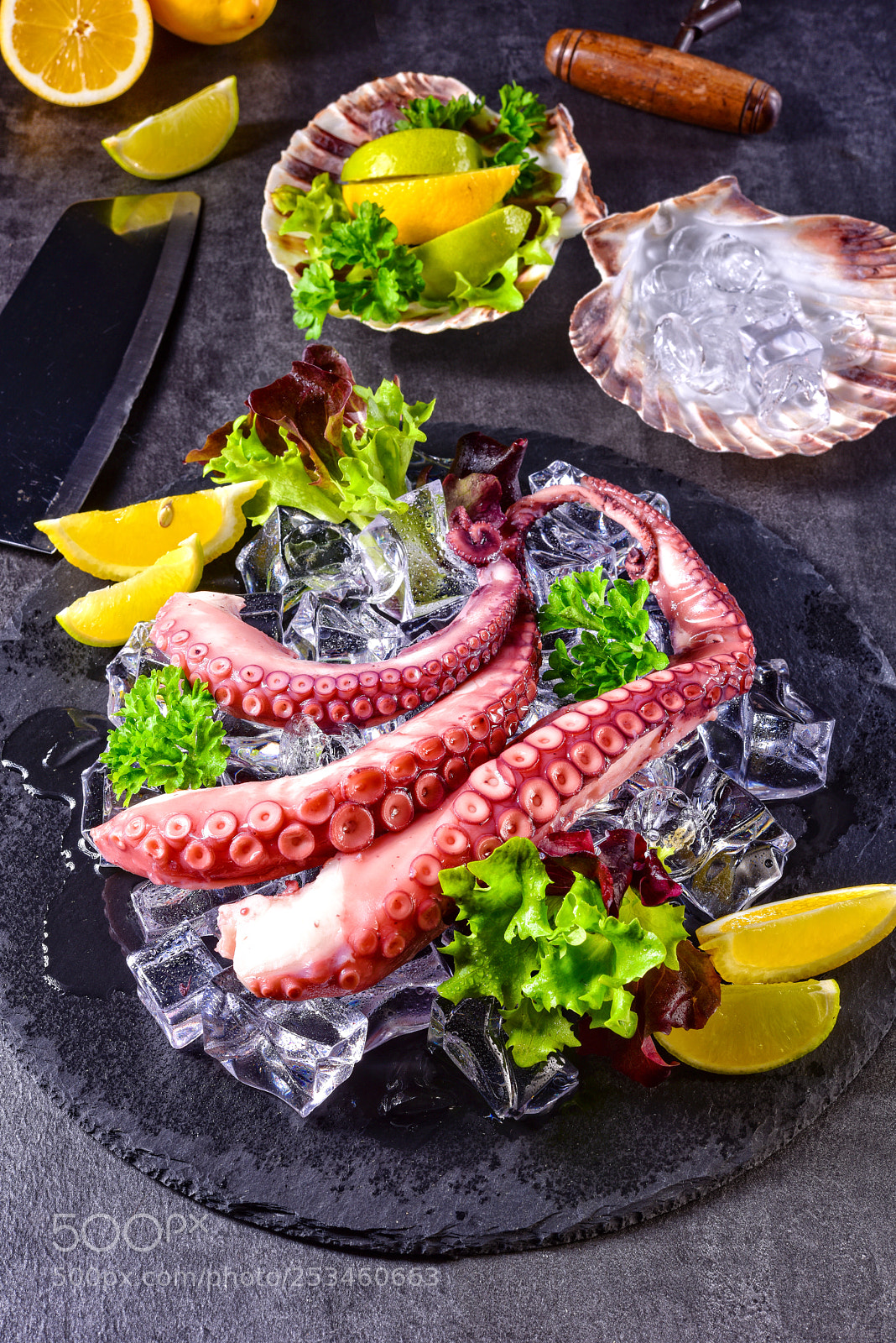 Nikon D810 sample photo. Raw octopus on the photography