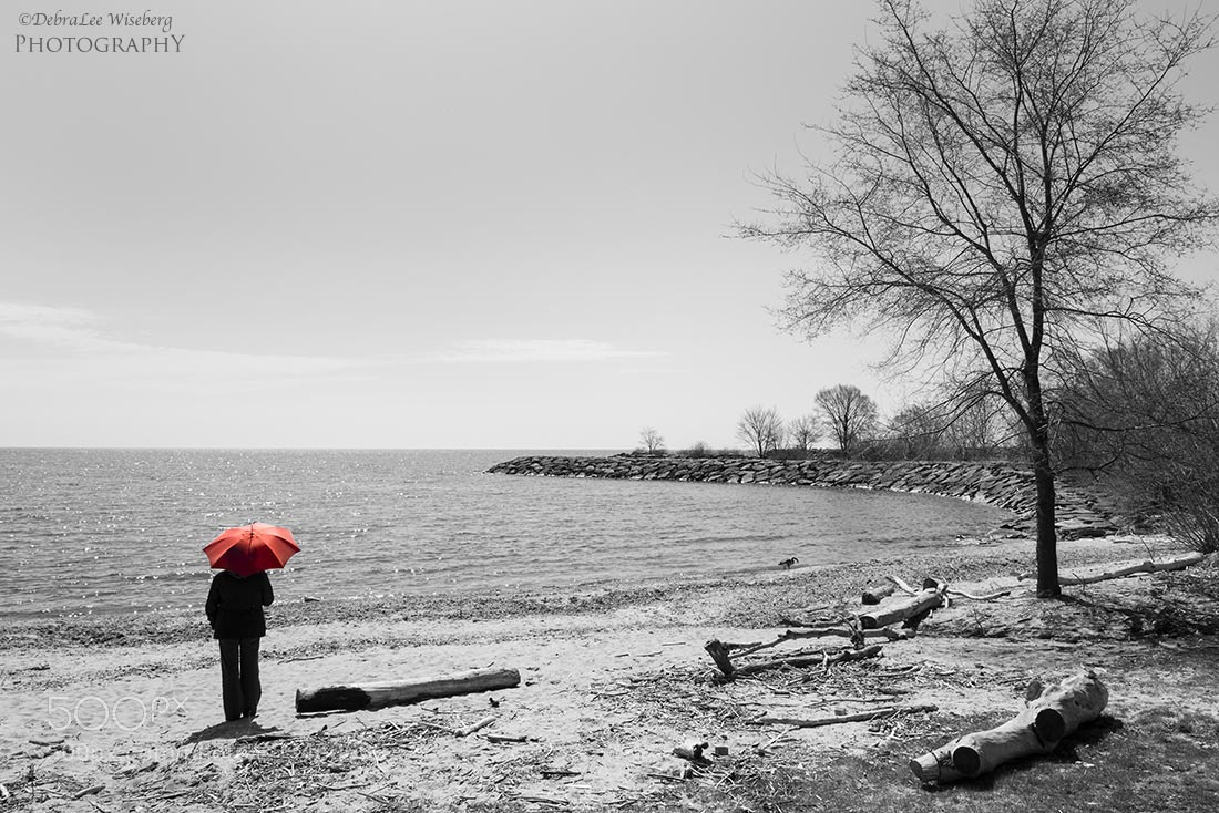 Nikon D800 sample photo. Calm spring morning photography