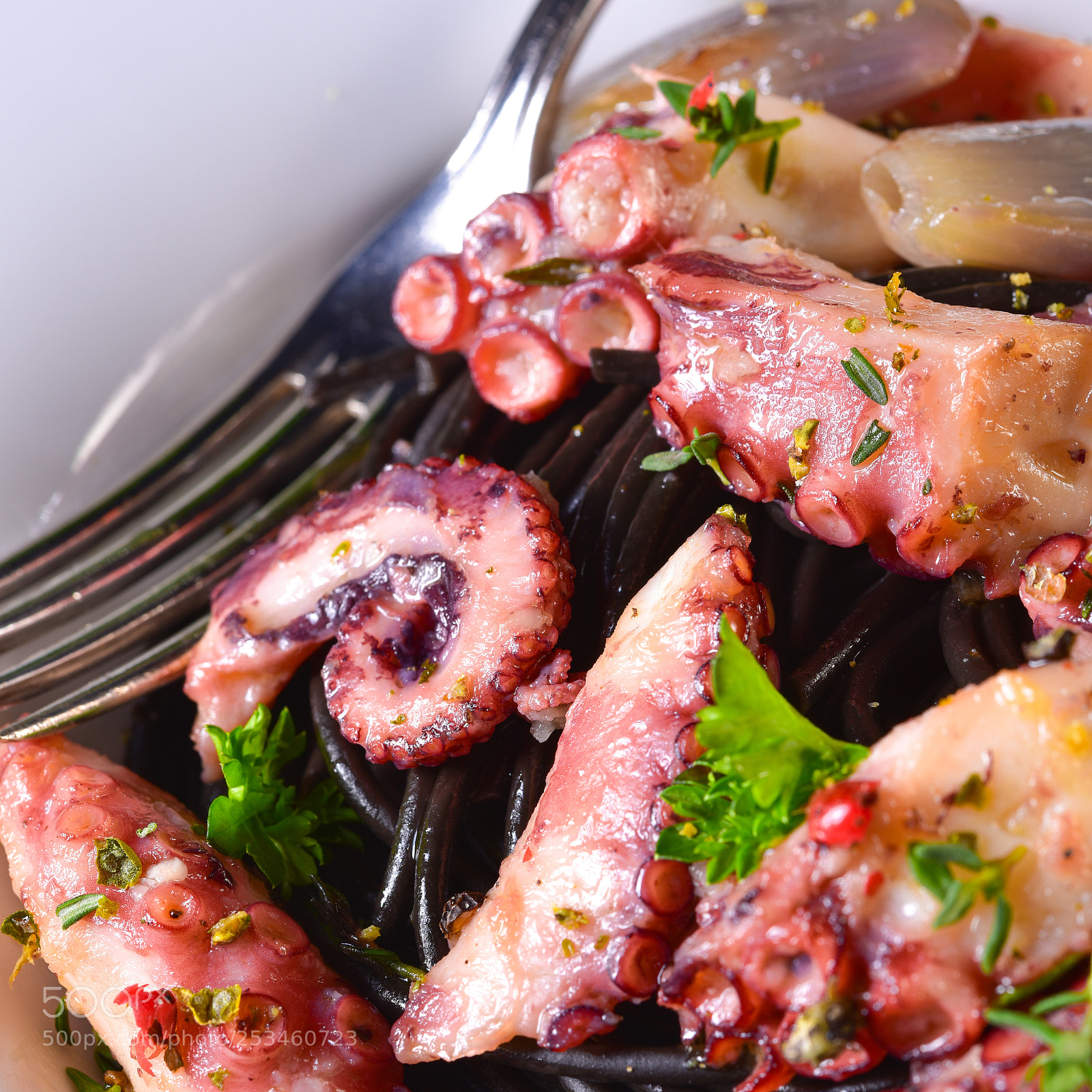Nikon D810 sample photo. Octopus with black spaghetti photography
