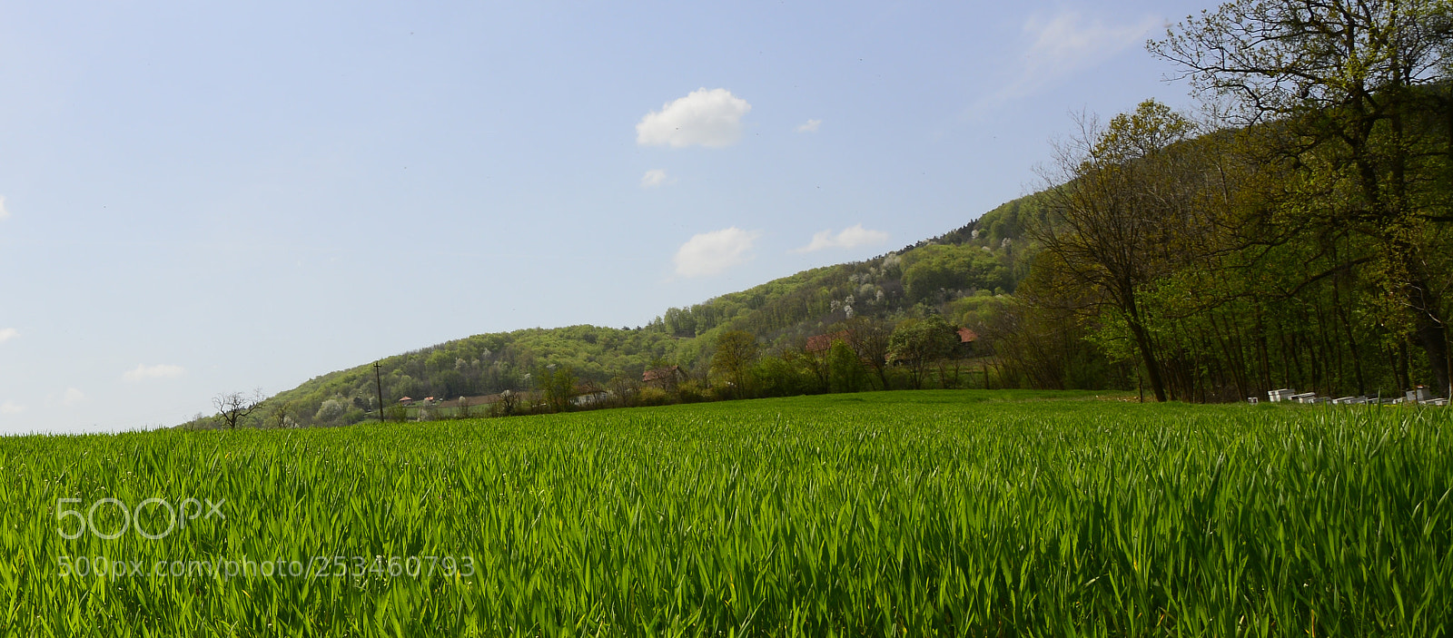 Nikon D7100 sample photo. Meadow photography