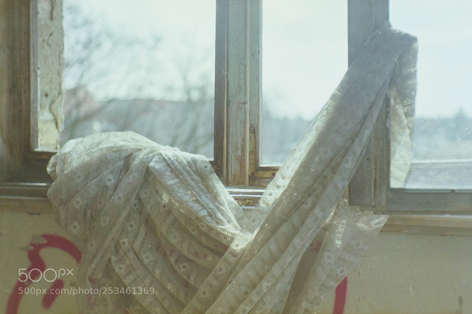 Nikon D3100 sample photo. Curtain photography