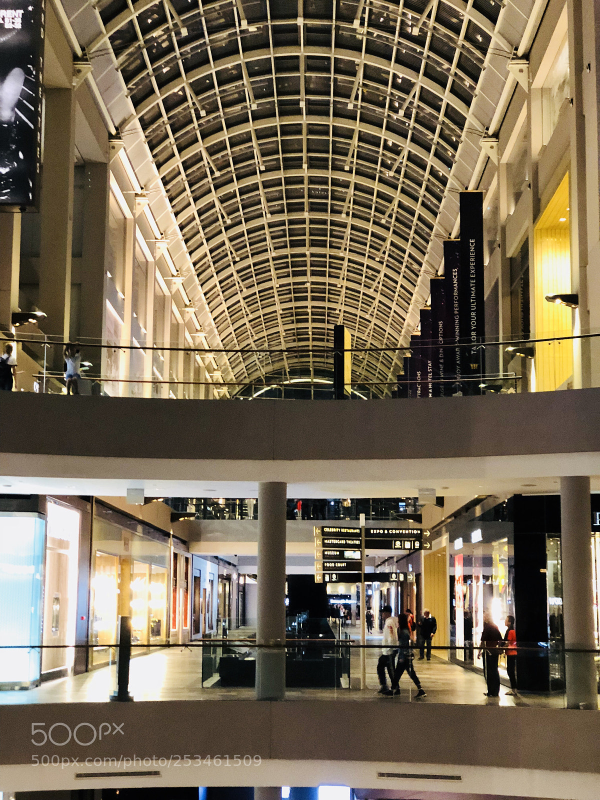 Apple iPhone 8 Plus sample photo. Untitled photography