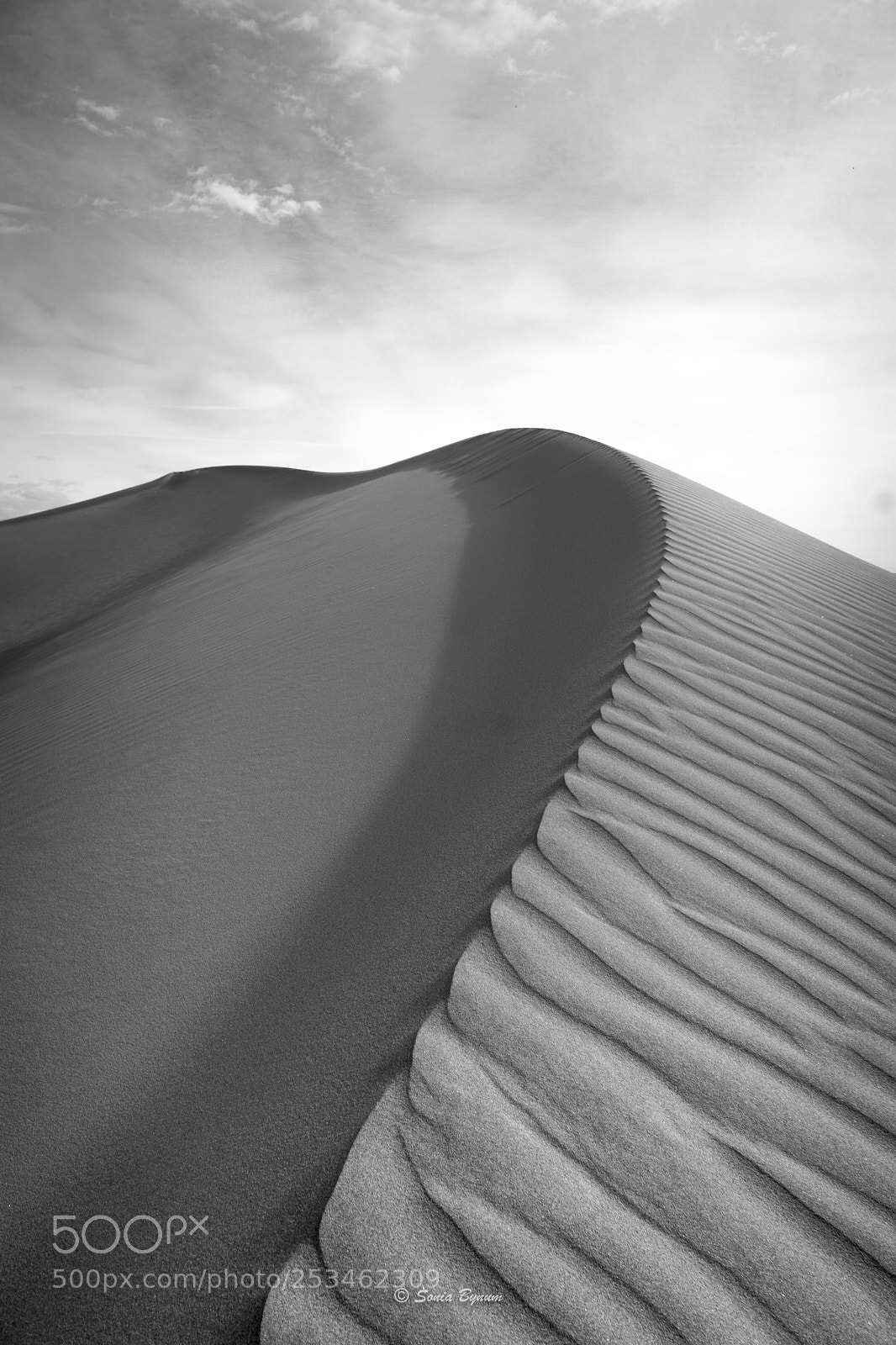 Sony a6000 sample photo. Curves photography