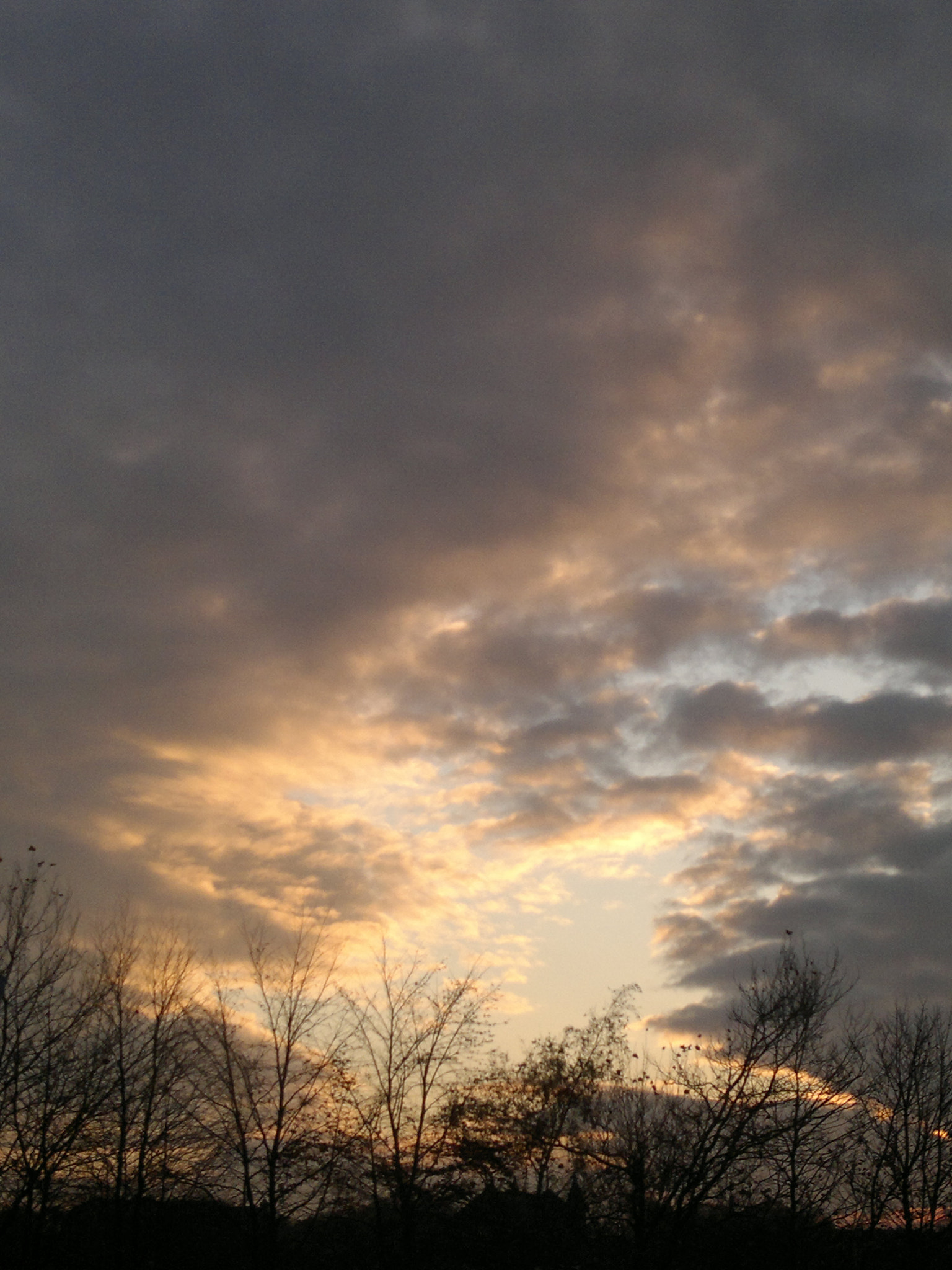 Nokia N8-00 sample photo. Twilight photography