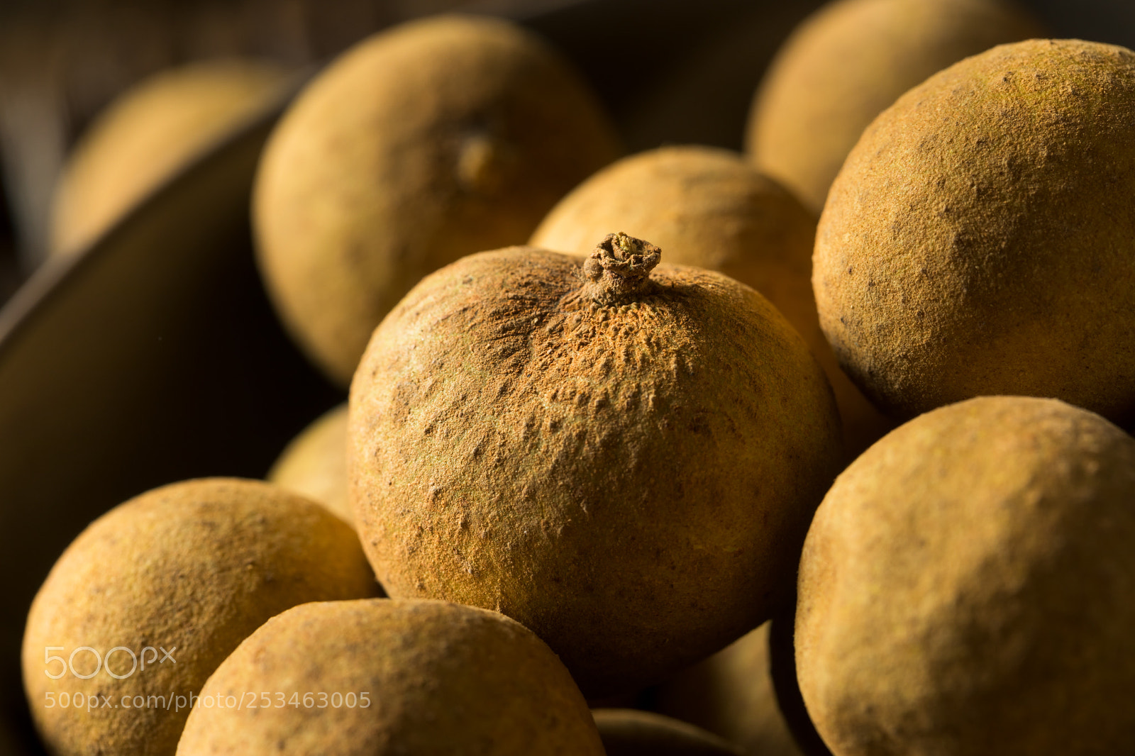 Canon EOS 5D Mark IV sample photo. Raw organic brown longan photography