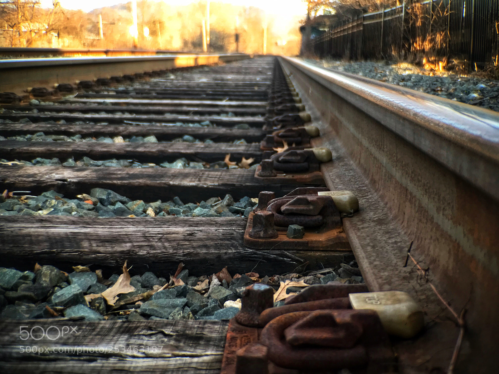 Apple iPhone 7 Plus sample photo. Rails photography