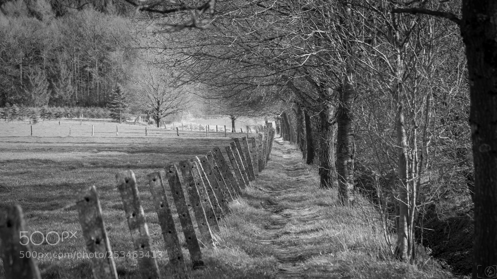 Canon EOS 70D sample photo. Trees and trail photography