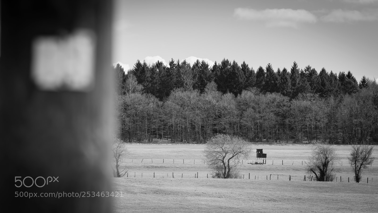 Canon EOS 70D sample photo. Grassland photography