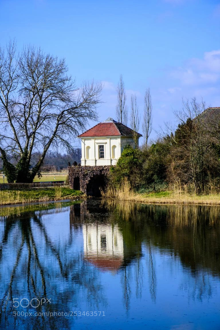 Nikon D7200 sample photo. Wörlitzer park photography