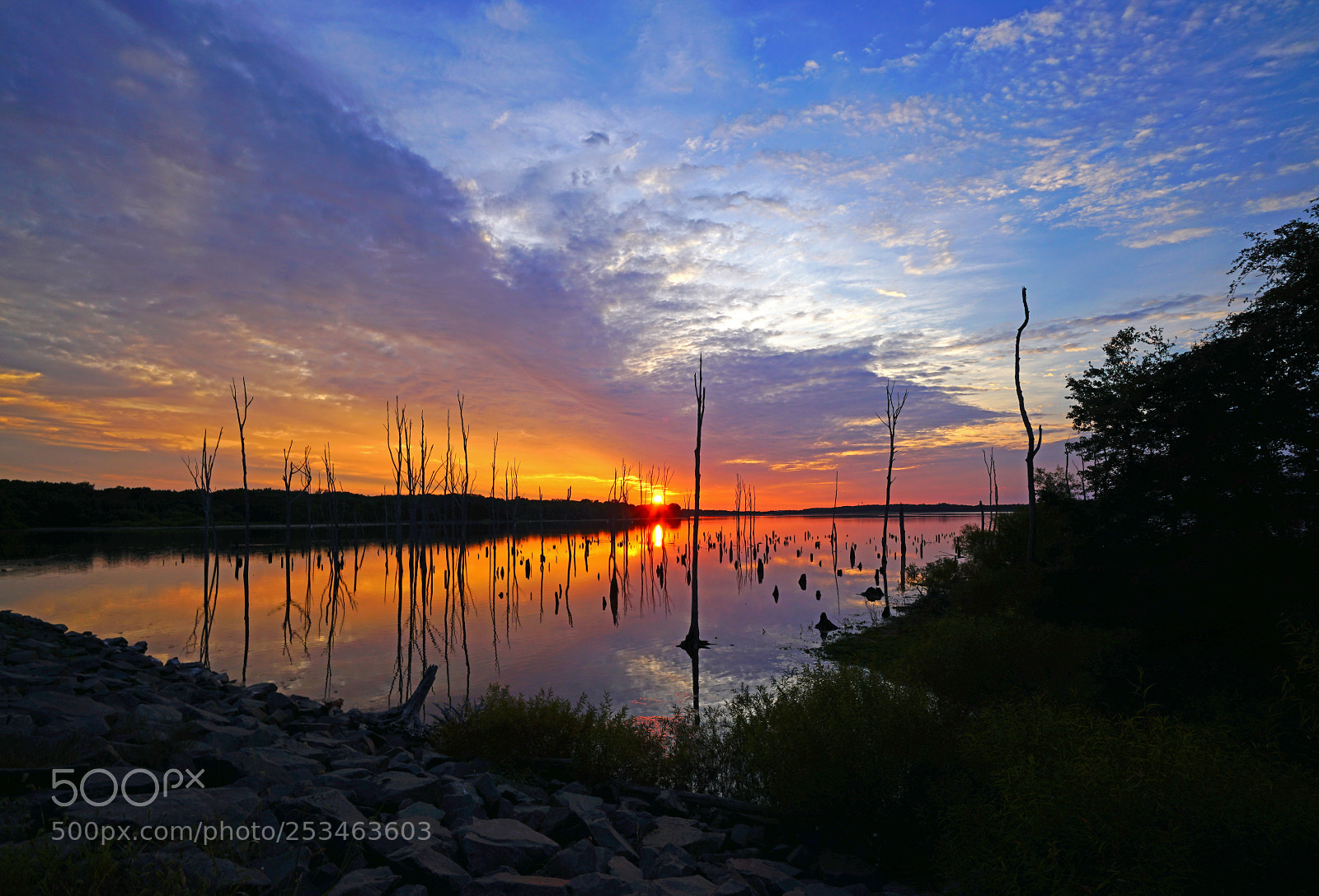 Sony a7R II sample photo. Spotlight at dawn photography