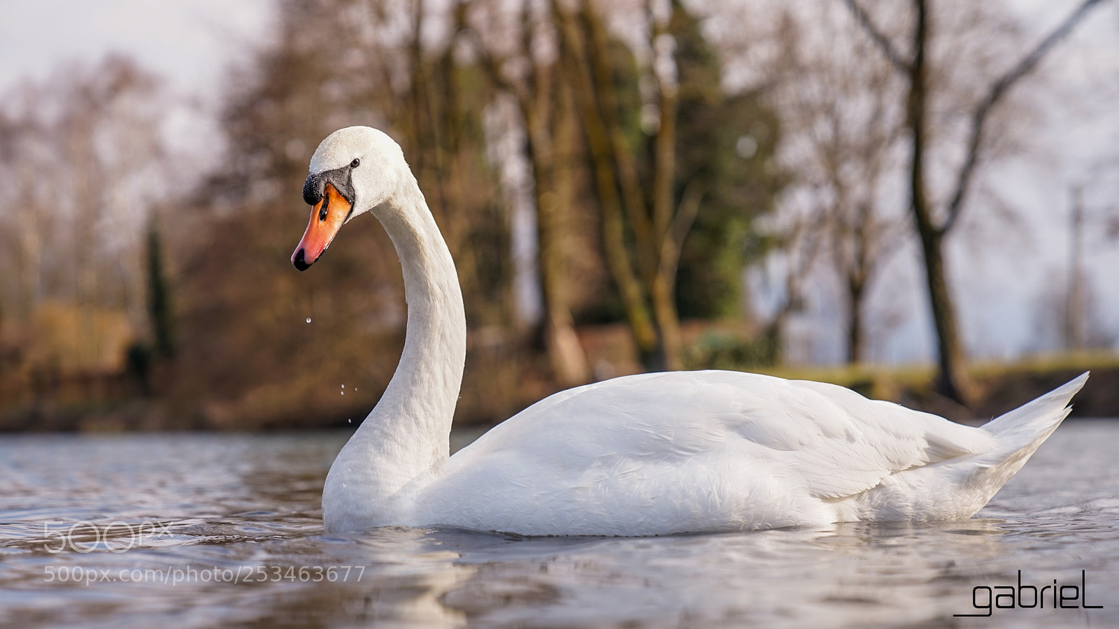 Sony a7 sample photo. Black eyes photography