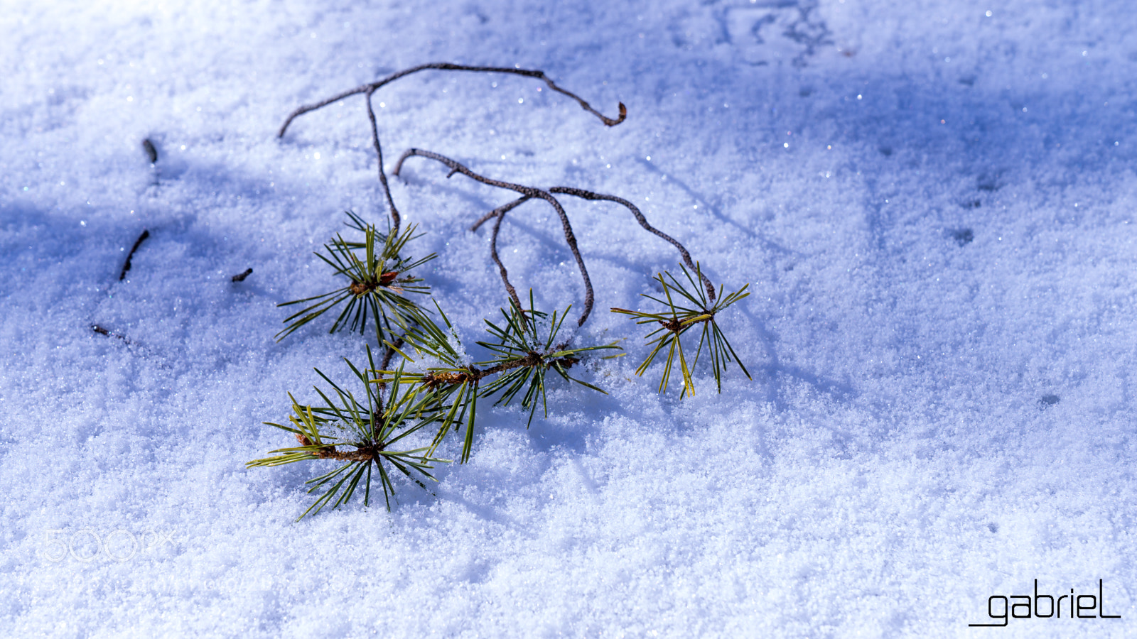 Sony a7 sample photo. Snow photography