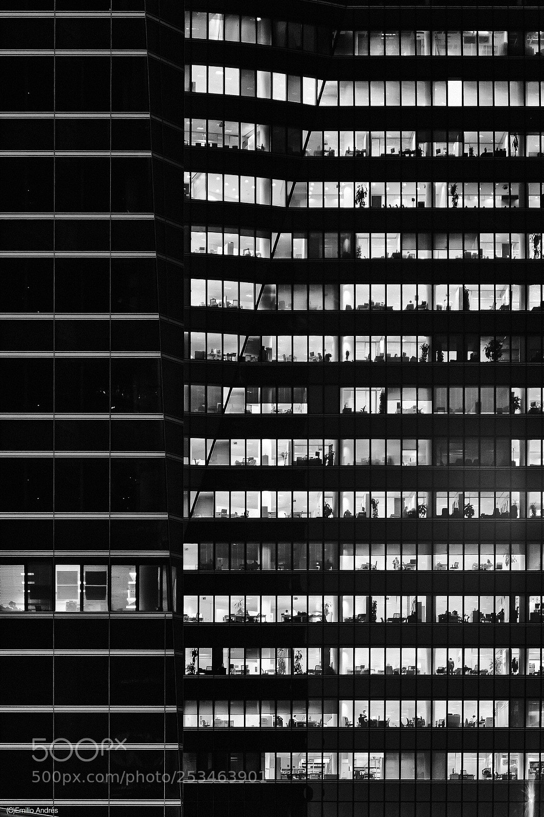 Nikon D700 sample photo. Architecture b&w photography