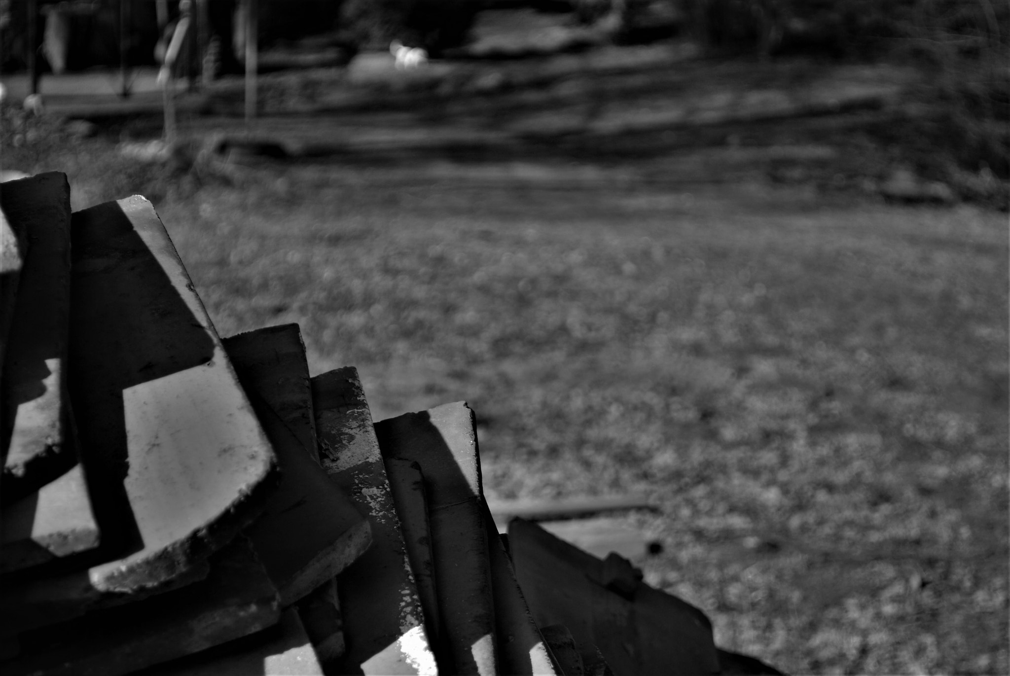 Nikon D60 sample photo. Upg bw photography