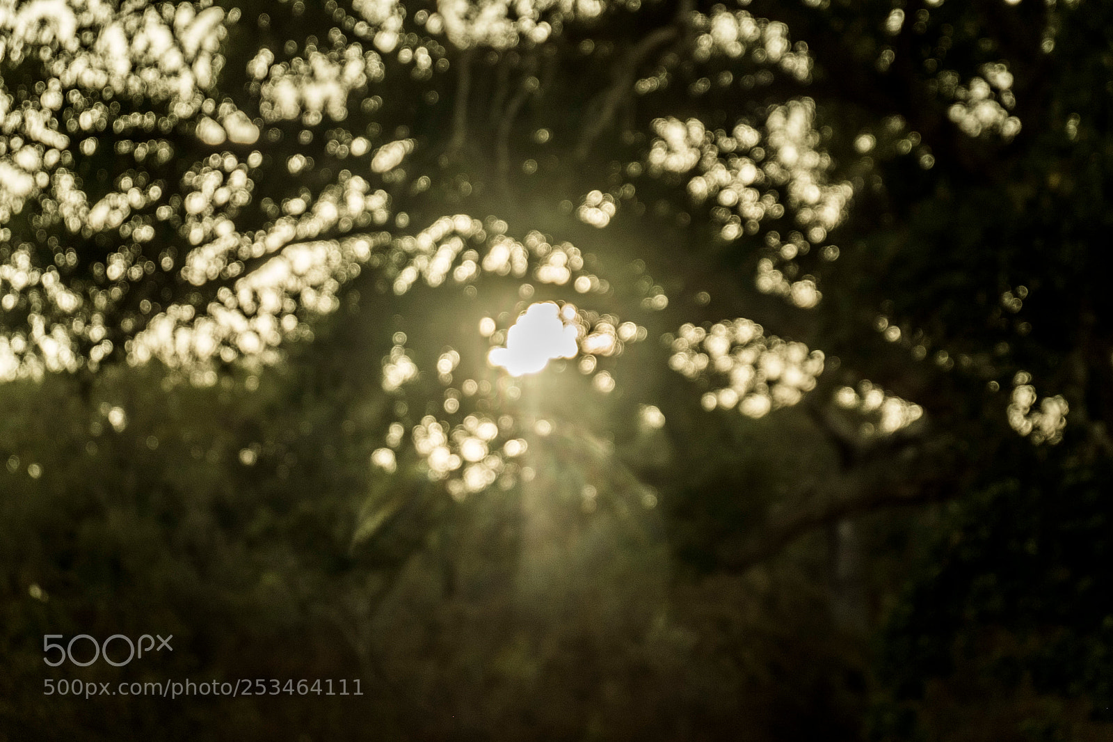 Fujifilm X-T10 sample photo. Portugal photography