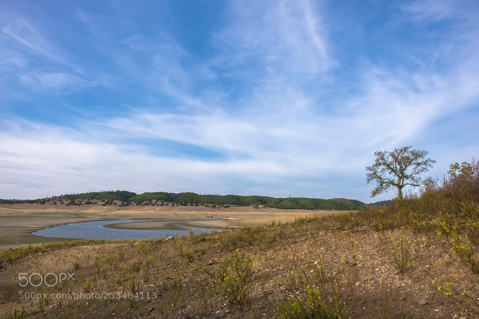 Fujifilm X-T10 sample photo. Portugal photography