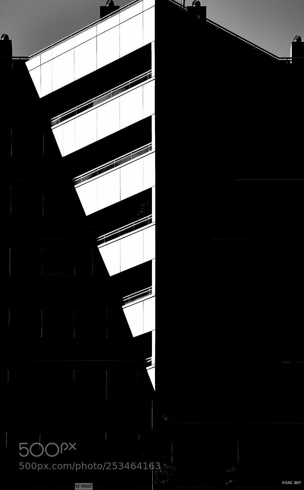 Olympus OM-D E-M1 Mark II sample photo. Architecture b&w  photography