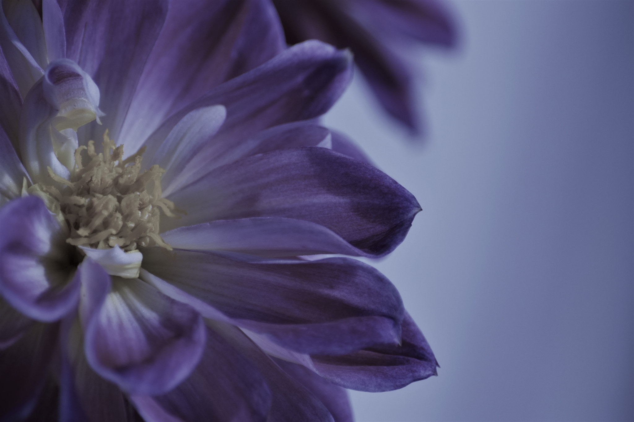 Nikon D3300 sample photo