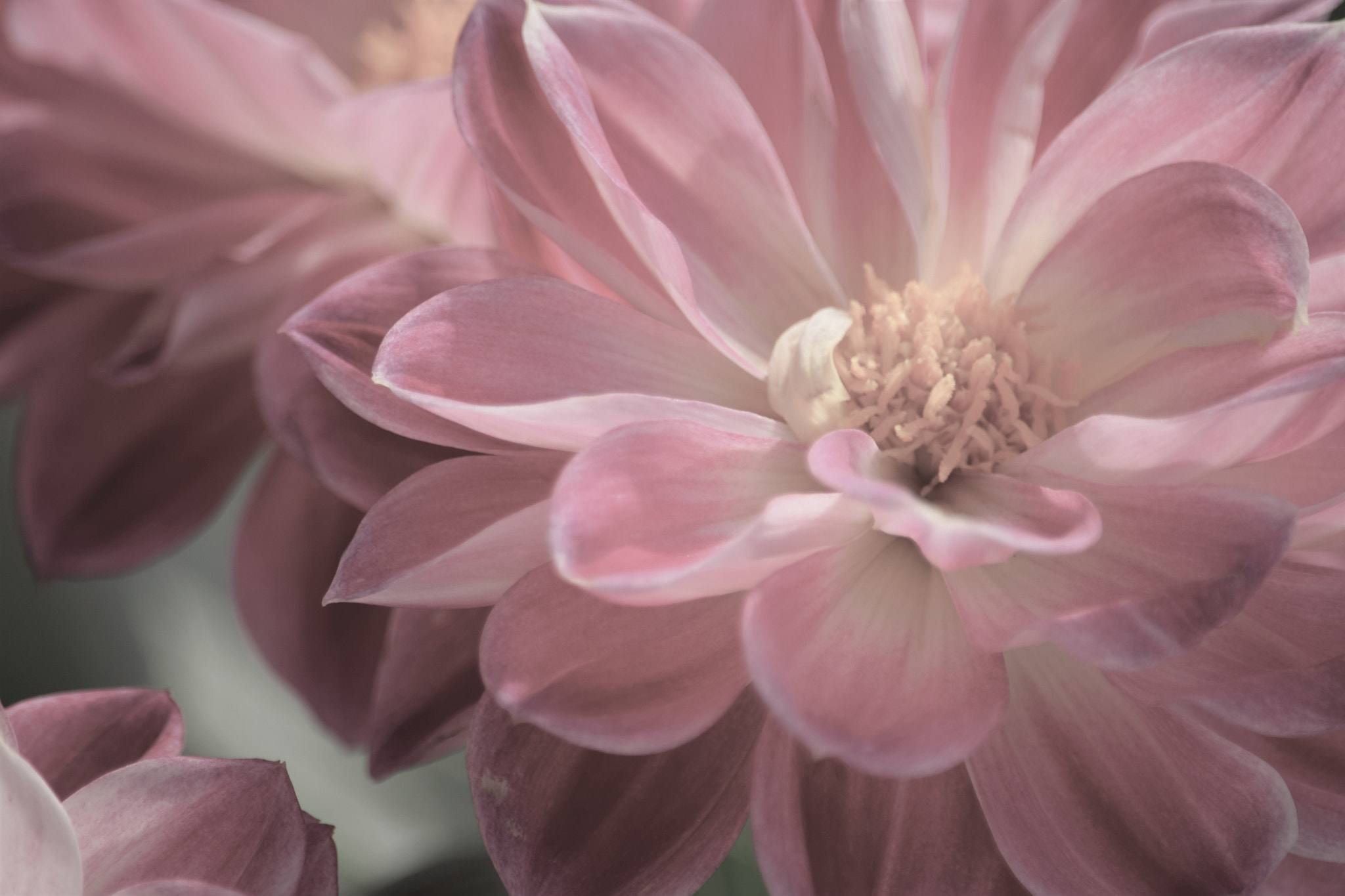 Nikon D3300 sample photo