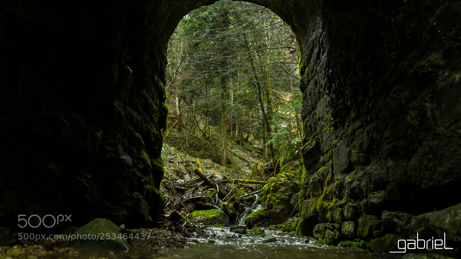 Sony a7 sample photo. Portal to nature photography