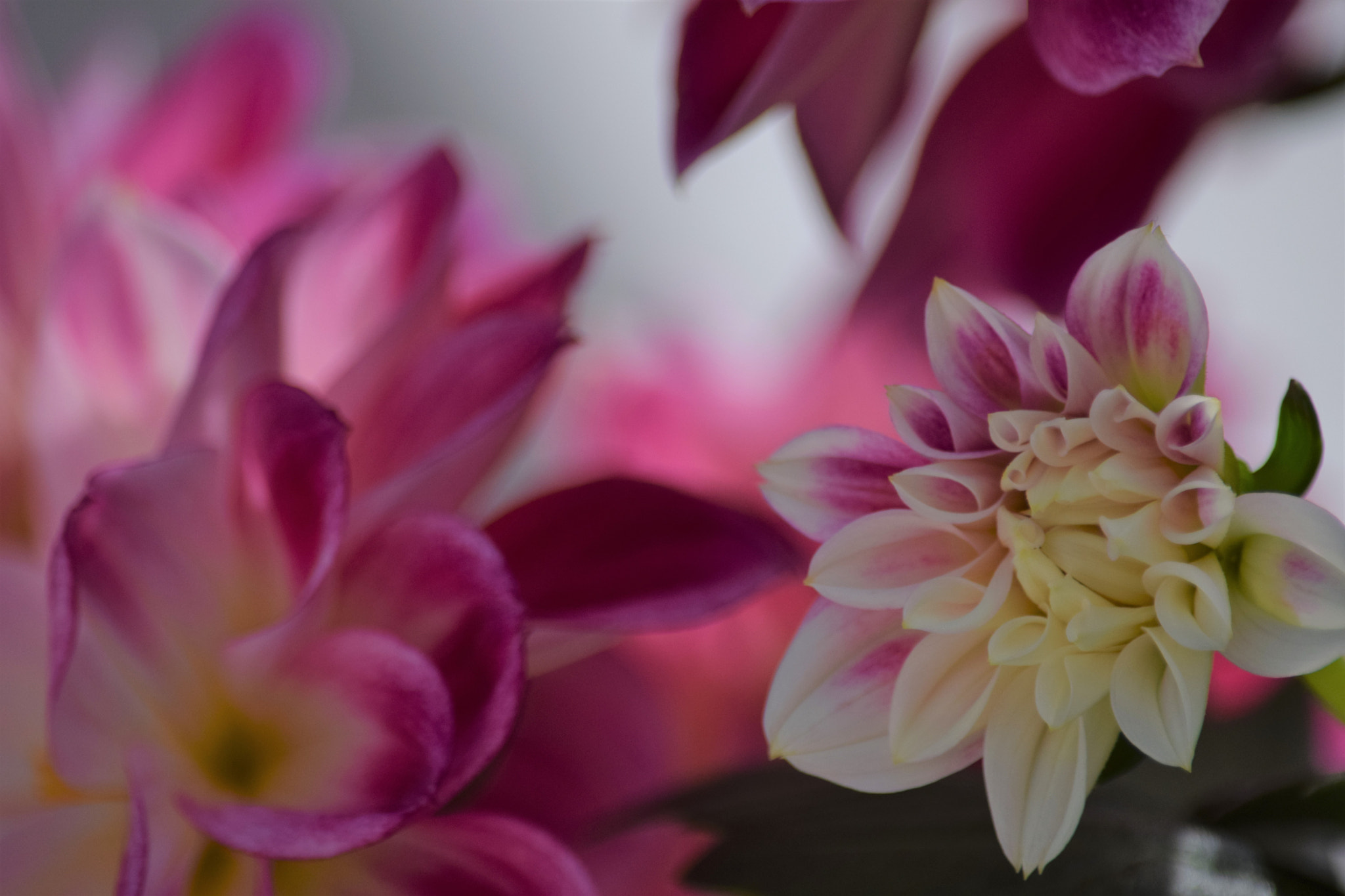 Nikon D3300 sample photo