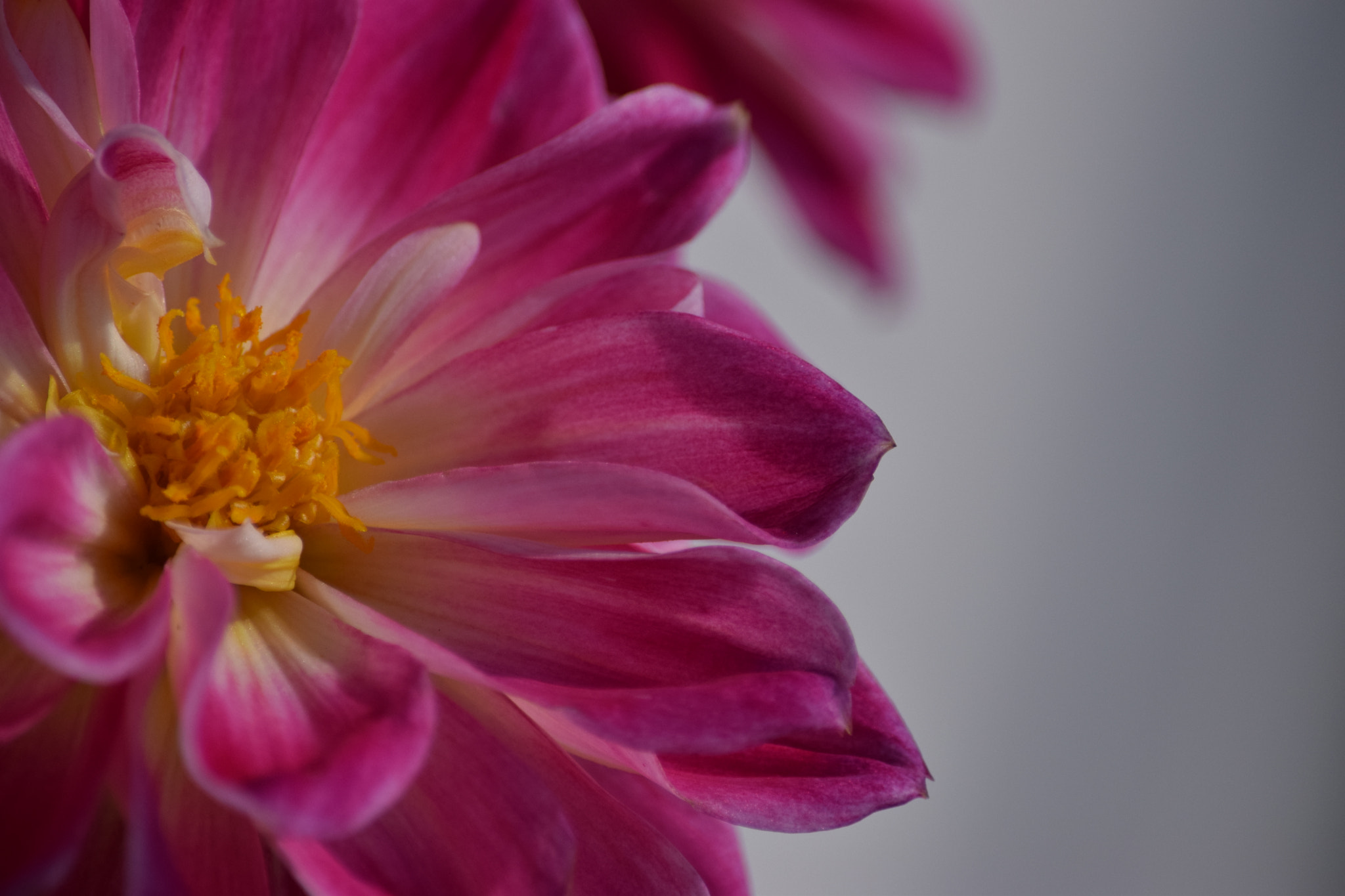 Nikon D3300 sample photo