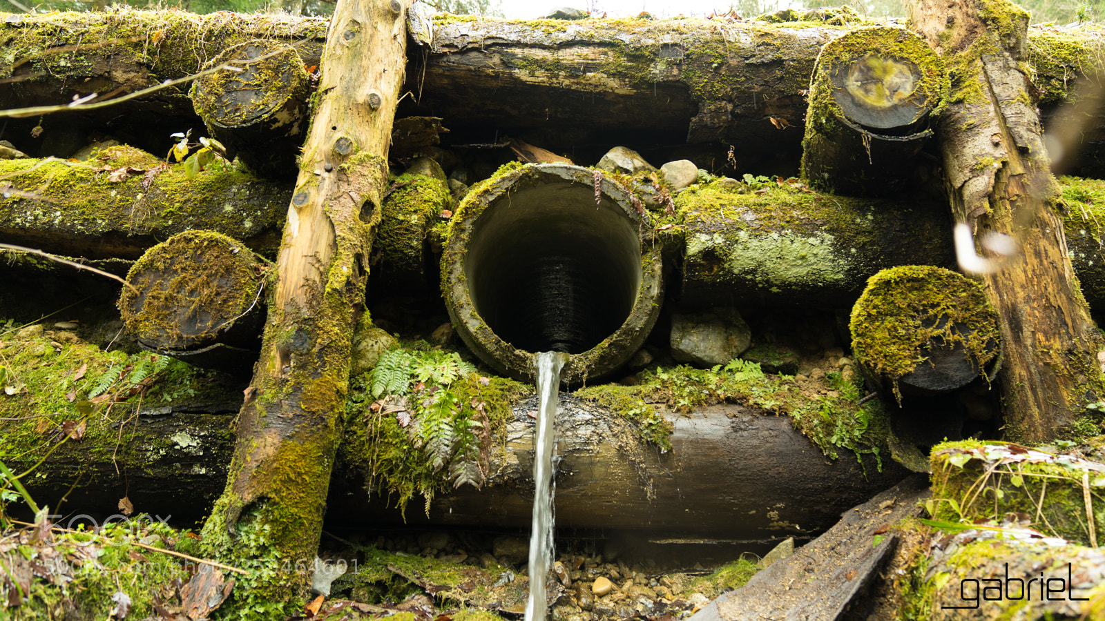 Sony a7 sample photo. Waterstream photography