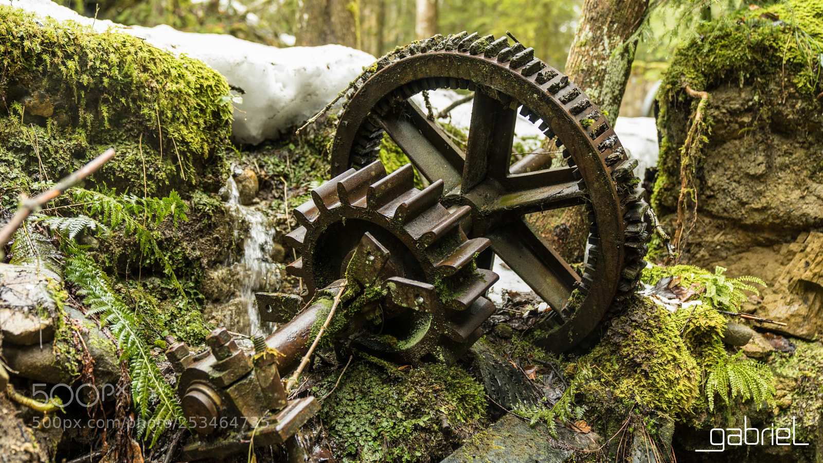 Sony a7 sample photo. Old gear photography