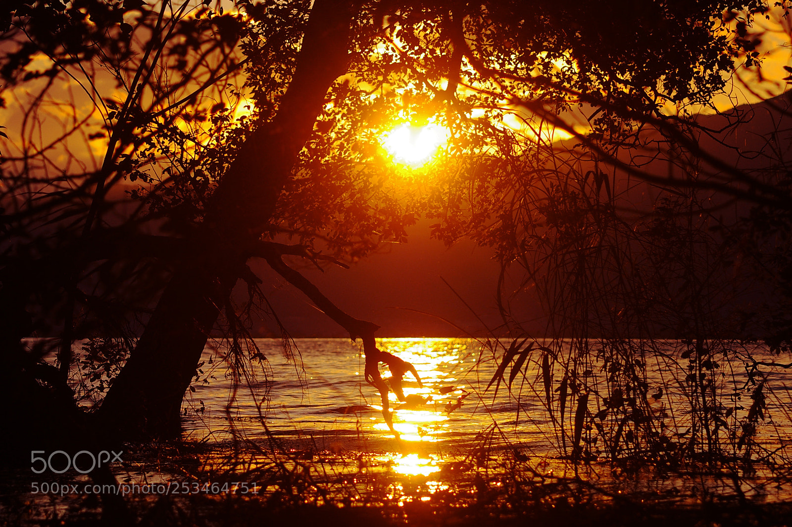 Pentax *ist DL2 sample photo. Lake biwa photography