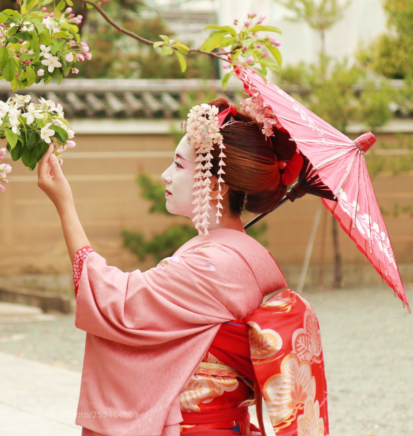 Canon EOS 80D sample photo. Maico costume photography