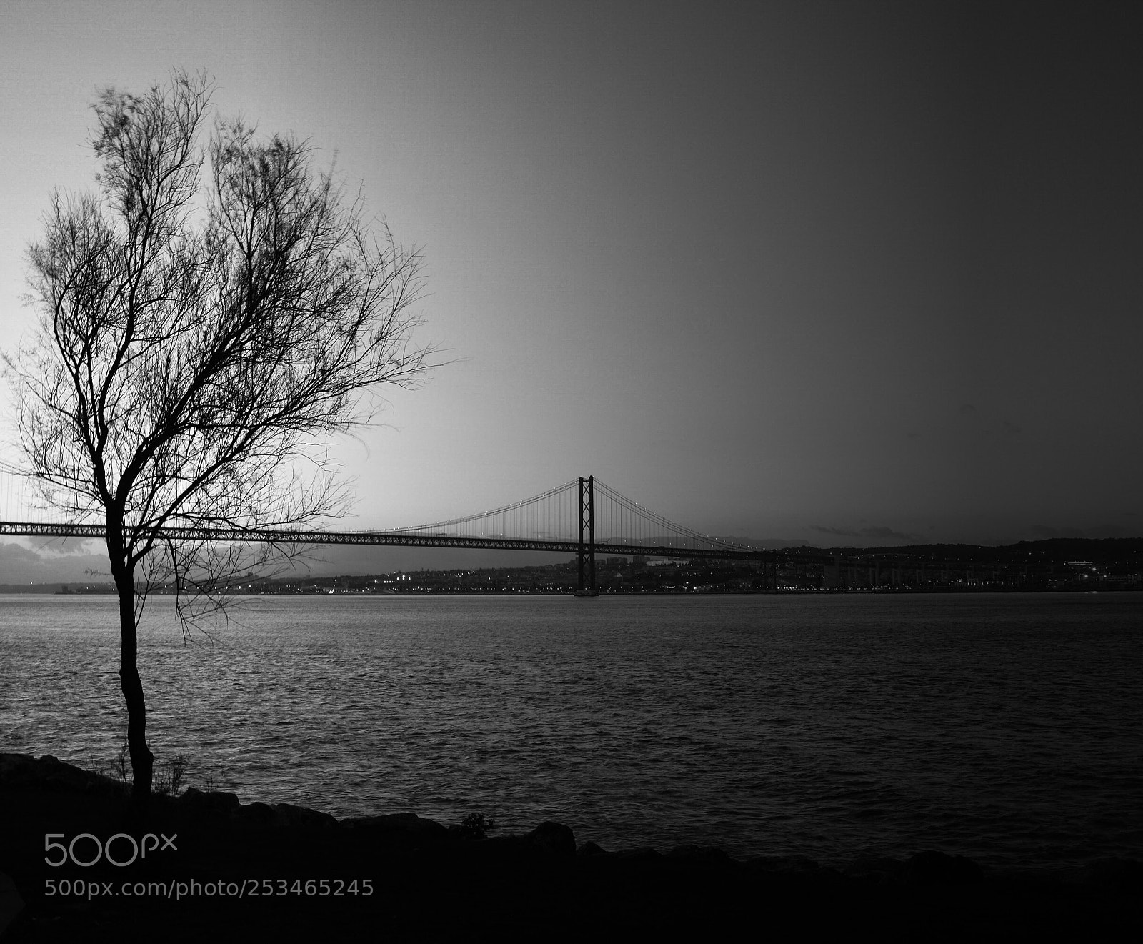 Nikon D5200 sample photo. Tejo photography