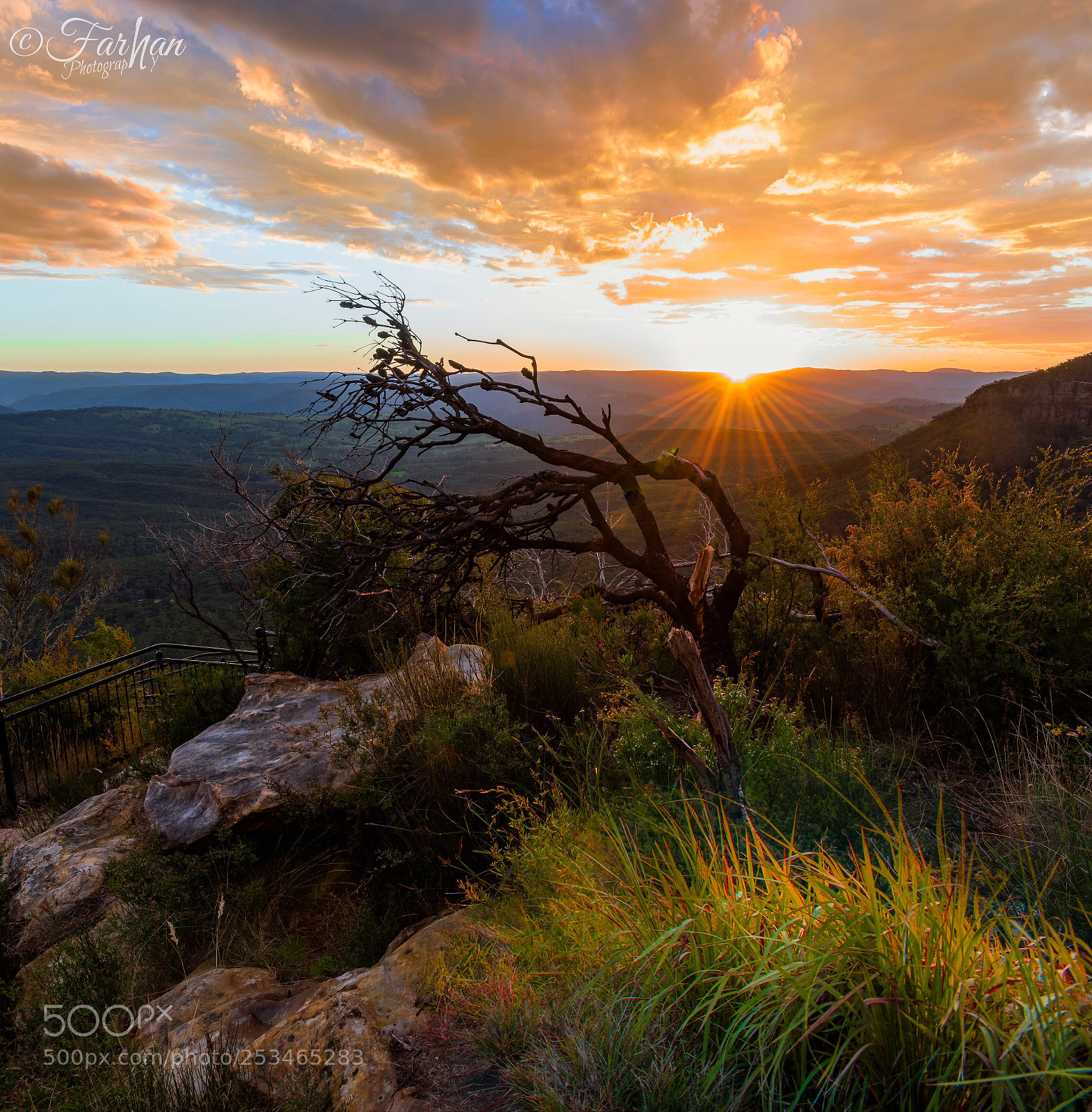 Nikon D850 sample photo. Cahill’s lookout photography
