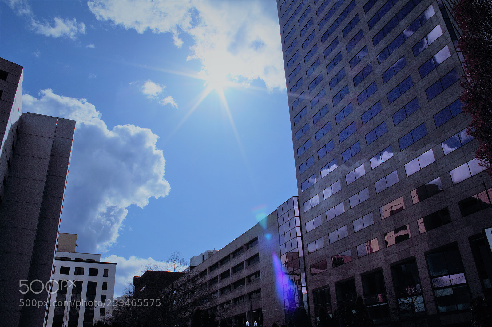 Canon EOS 600D (Rebel EOS T3i / EOS Kiss X5) sample photo. Portlandor solar flare (arctic) photography