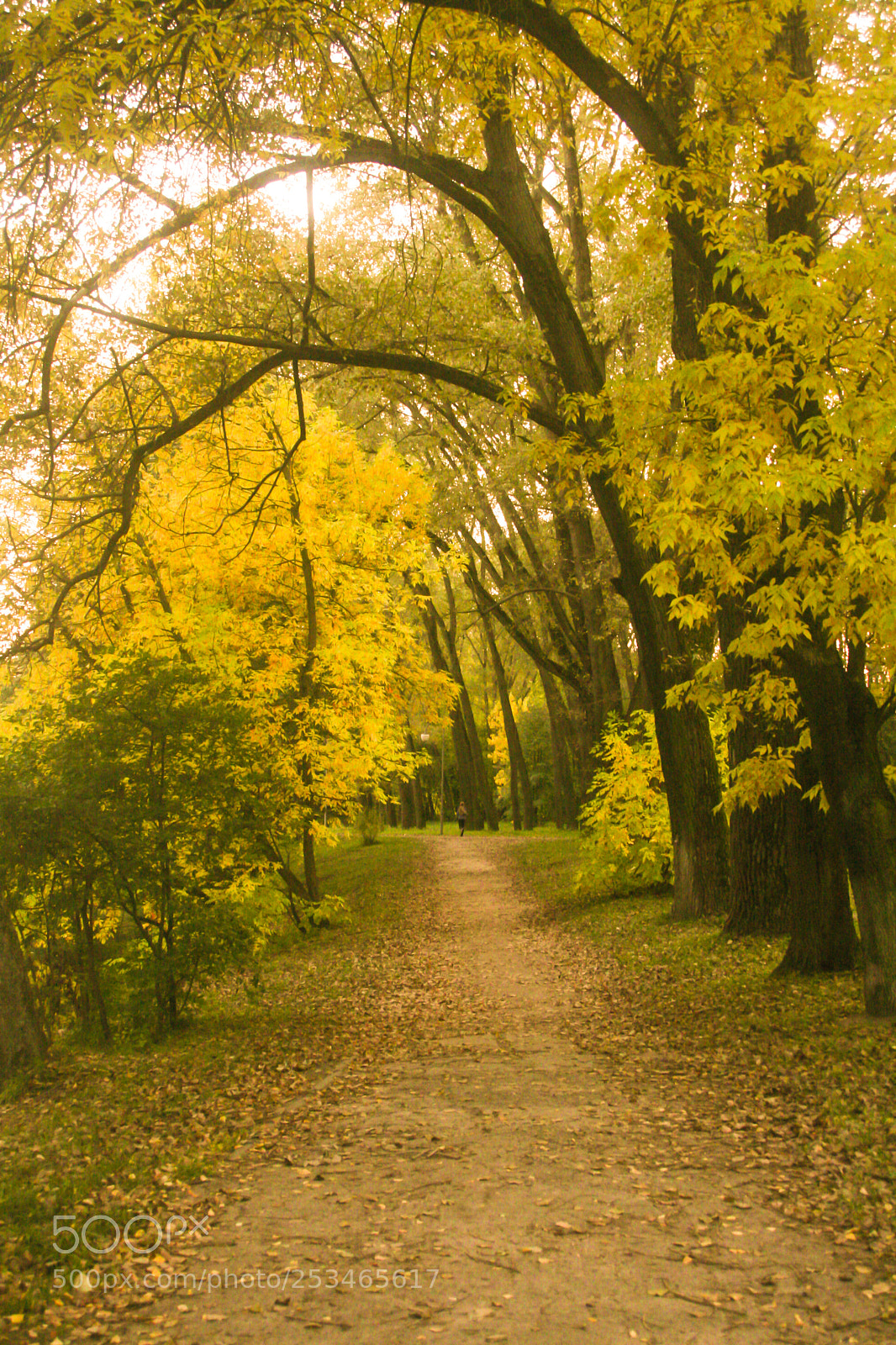 Canon EOS 30D sample photo. Autumn photography