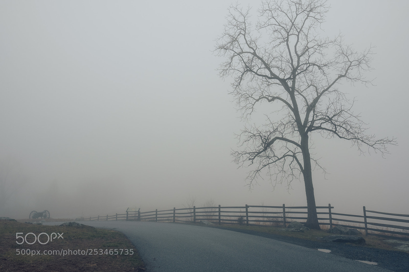 Fujifilm X-T2 sample photo. Foggy morning photography