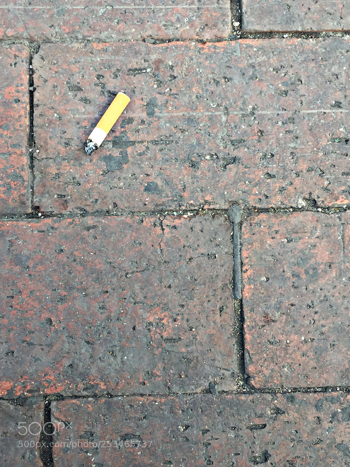 Apple iPhone 6 sample photo. Mínimo 1/2 photography