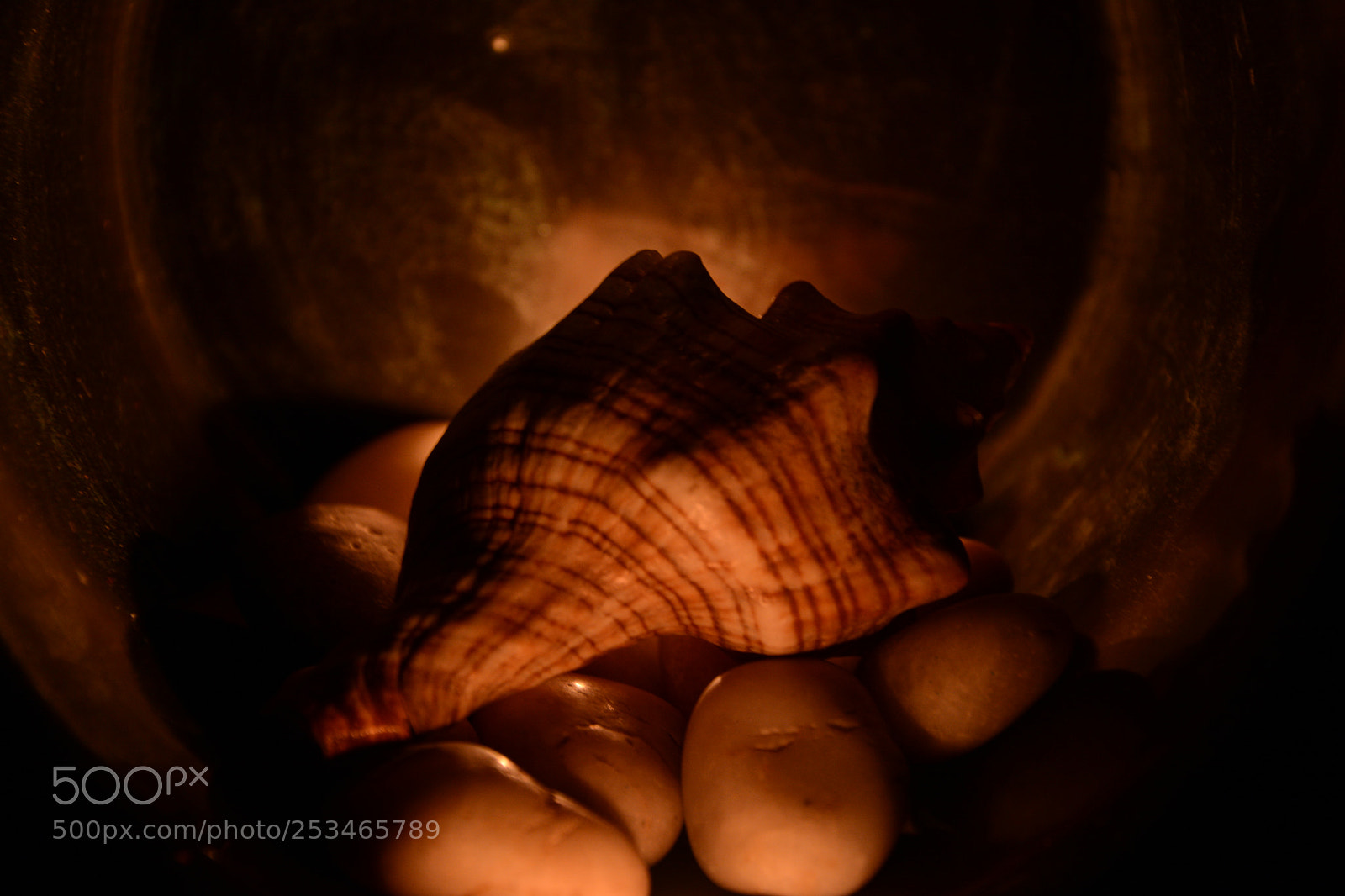 Nikon D7100 sample photo. Untitled photography